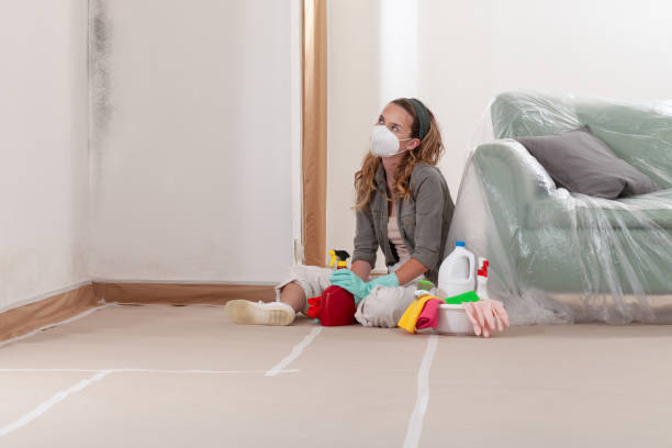 Reliable Mold Remediation contractor in Manville, NJ by Cheap Mold Removal